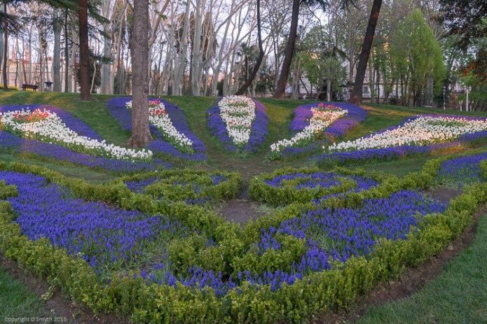 a1_20150423_20150423__DSC5674_6000 x 4000