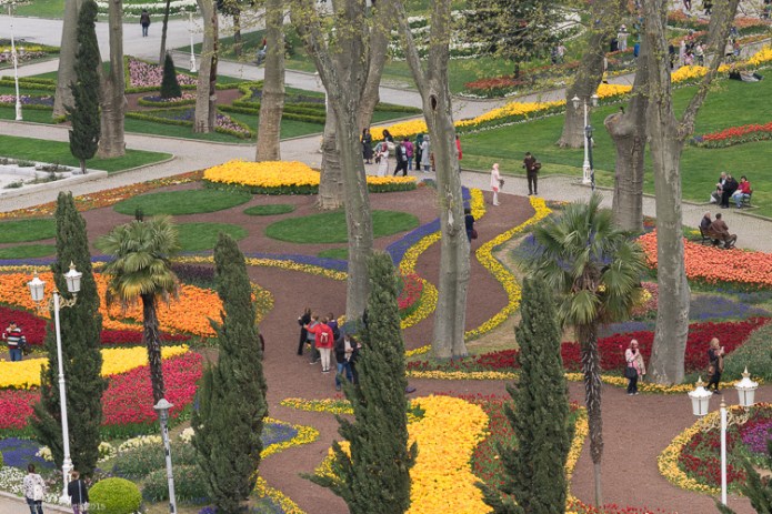 a1_20150425_20150425__DSC6023_6000 x 4000