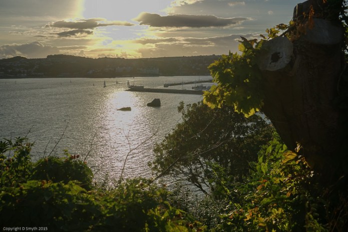 a1_20140813_DSC08339_6000 x 4000