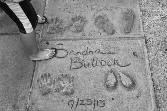 a1_20150214__DSC0560_6000 x 4000