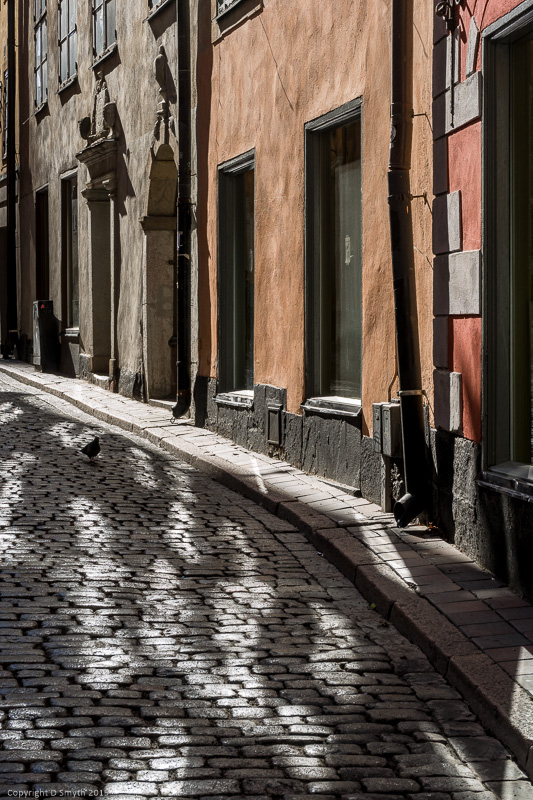 a1_20150416__DSC3946_4000 x 6000