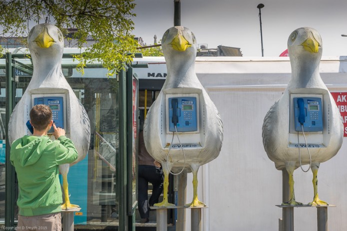 a1_20150426_20150426__DSC6093_6000 x 4000