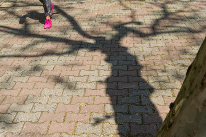 a1_20150426_20150426__DSC6171_6000 x 4000