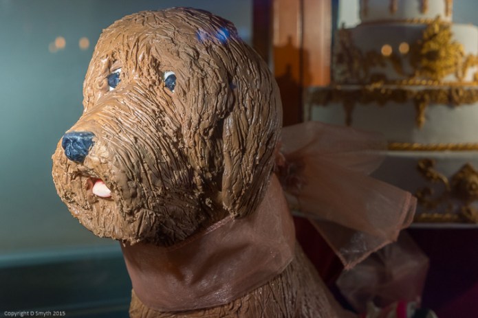 a1_20150503_20150503__DSC6636_6000 x 4000