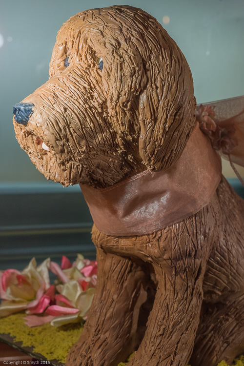 Cake shop window, Bratislava