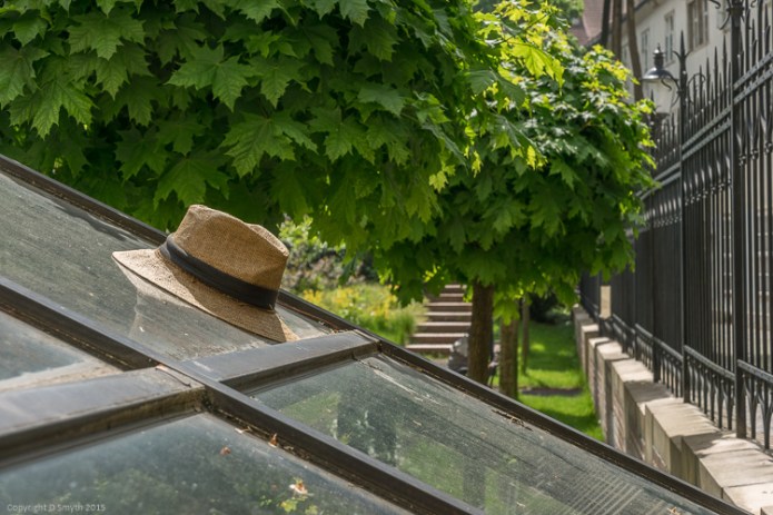 a1_20150504_20150504__DSC6739_6000 x 4000