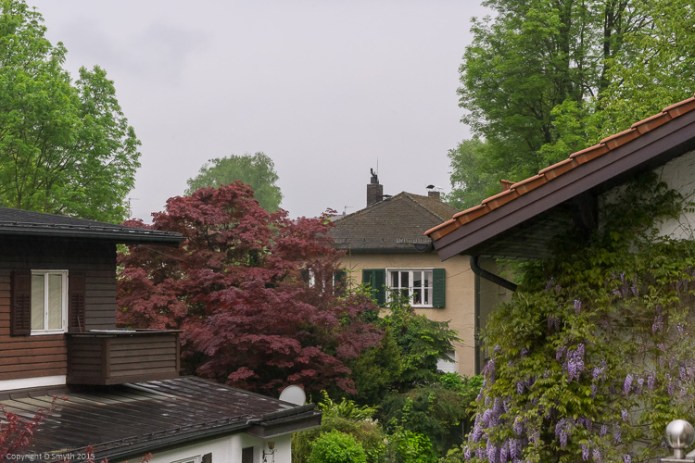 a1_20150506_20150506__DSC6942_6000 x 4000