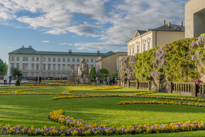 a1_20150506_20150506__DSC7013_6000 x 4000