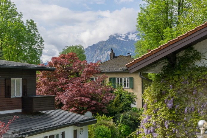 a1_20150507_20150507__DSC7036_6000 x 4000