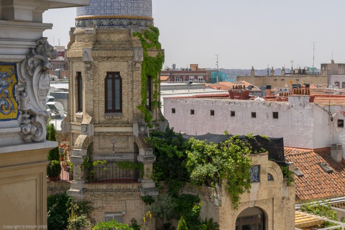 a1_20150512_20150512__DSC7265_6000 x 4000