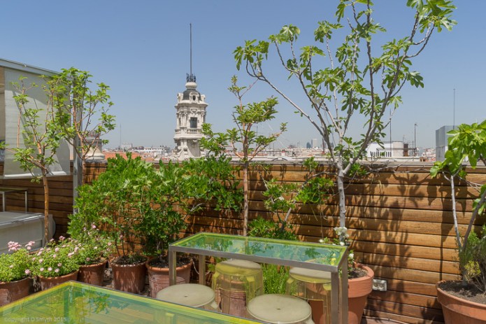 a1_20150512_20150512__DSC7267_6000 x 4000