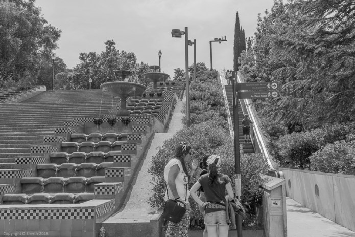 a1_20150514_20150514__DSC7348_6000 x 4000-2