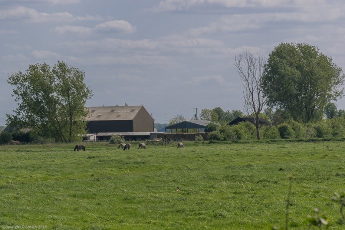 a1_20150516_20150516__DSC7629_6000 x 4000