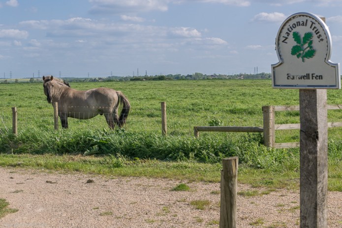 a1_20150516_20150516__DSC7640_6000 x 4000