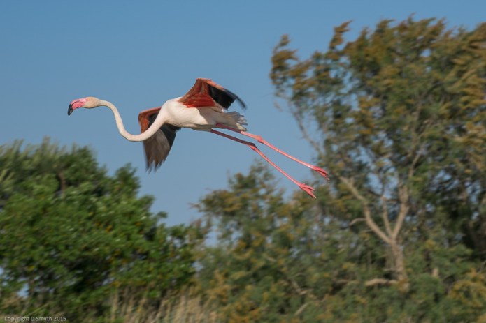 a1_20150522_20150522__DSC8252_6000 x 4000-2