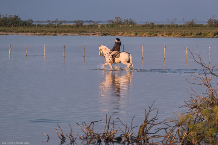 a1_20150524_20150524__DSC9397_6000 x 4000