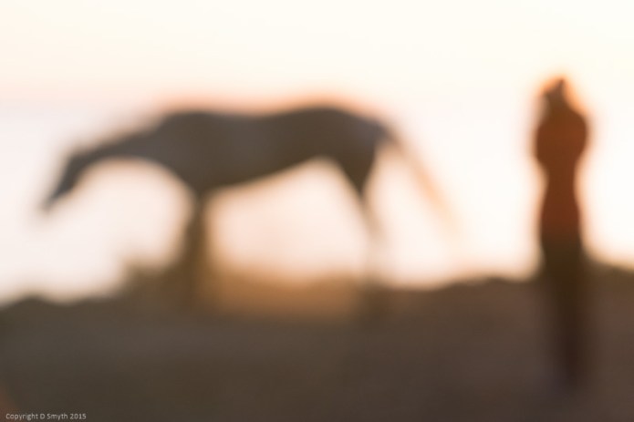 a1_20150525_20150525__DSC9551_6000 x 4000