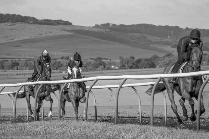 a1_20150528_20150528__DSC9684_6000 x 4000