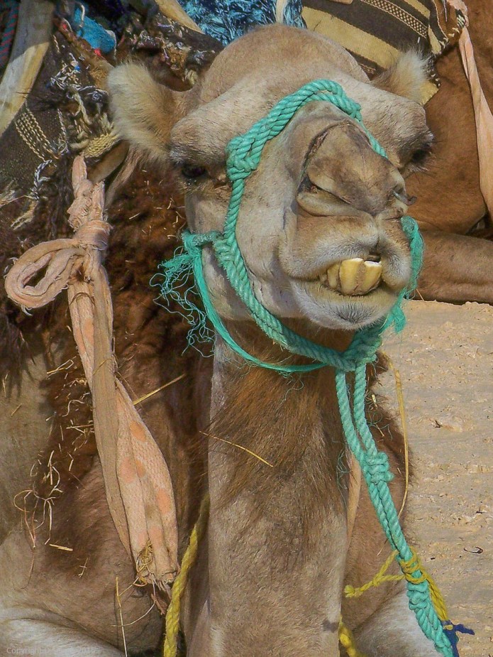 a1_20060823_100_0053_2832 x 2128