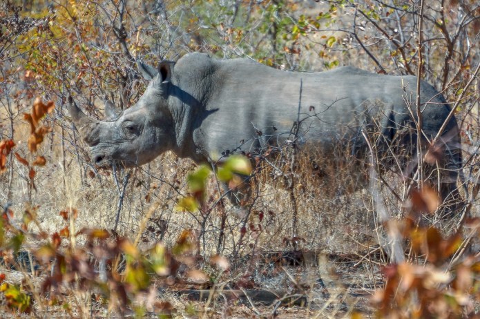 a1_20120614_aDSC05381c_4296 x 2857