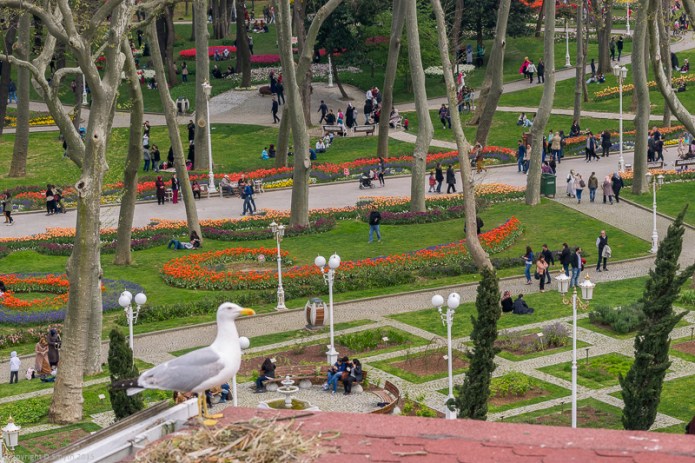 View from the roof terrace of Sirkeci mansion
