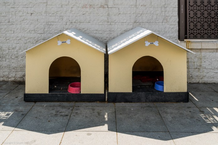 a1_20150426_20150426__DSC6087_6000 x 4000