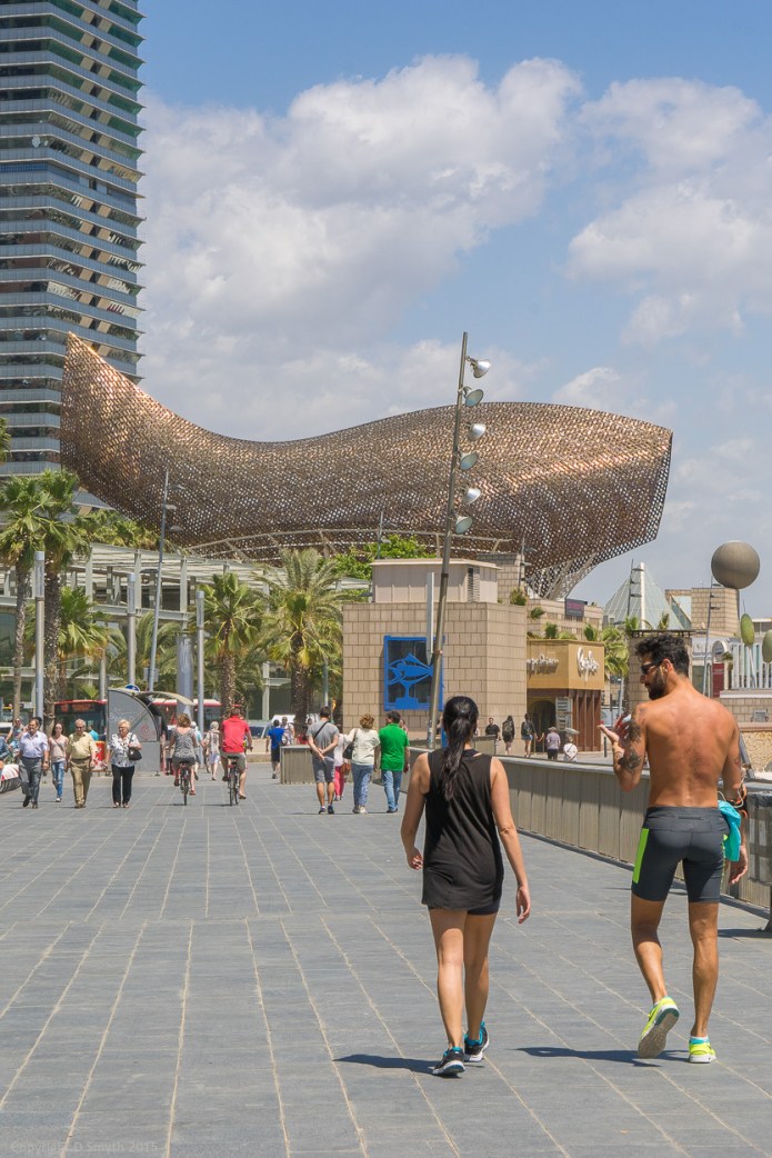 a1_20150515_20150515__DSC7505_6000 x 4000