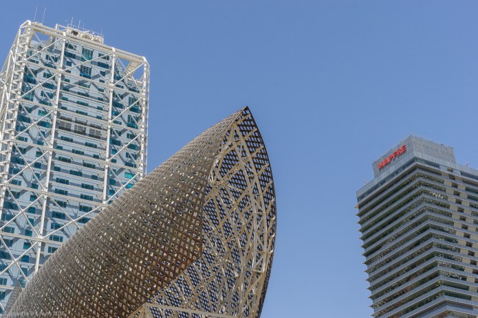 a1_20150515_20150515__DSC7516_6000 x 4000