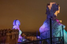 a1_20150520_20150520__DSC7833_6000 x 4000