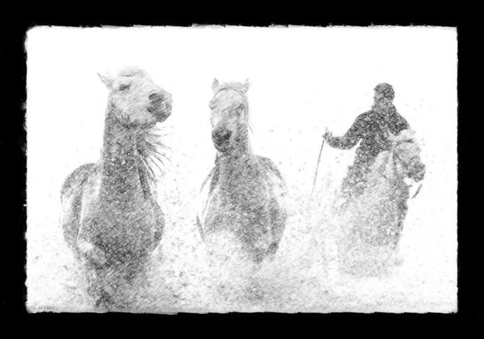 a1_20150523_20150523__DSC8394_6000 x 4000-5_FotoSketcher2