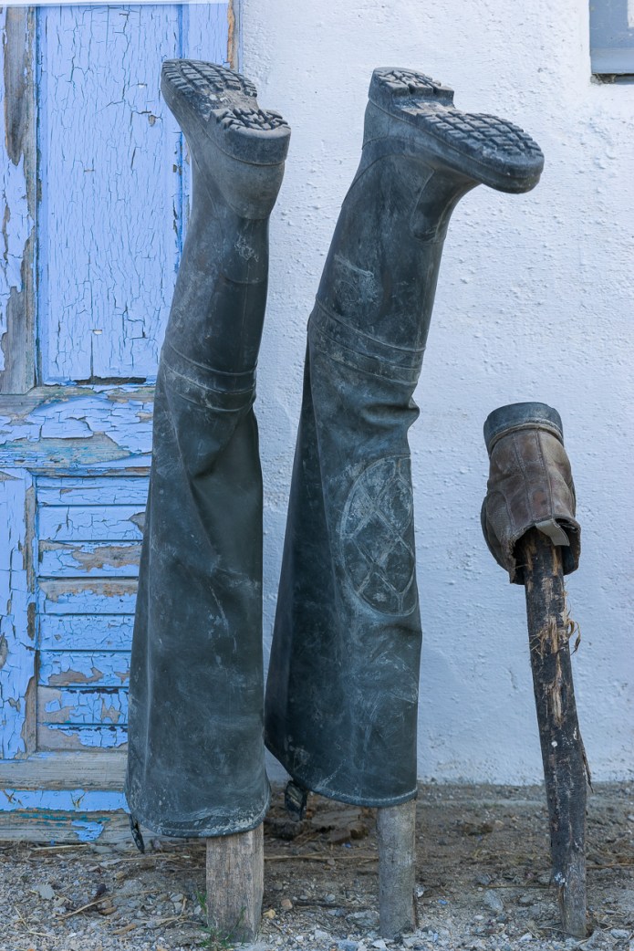 a1_20150524_20150524__DSC9042_4000 x 6000