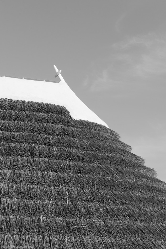 a1_20150524_20150524__DSC9061_4000 x 6000-2