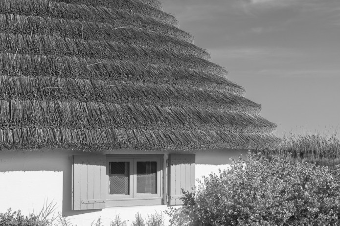 a1_20150524_20150524__DSC9063_6000 x 4000-2