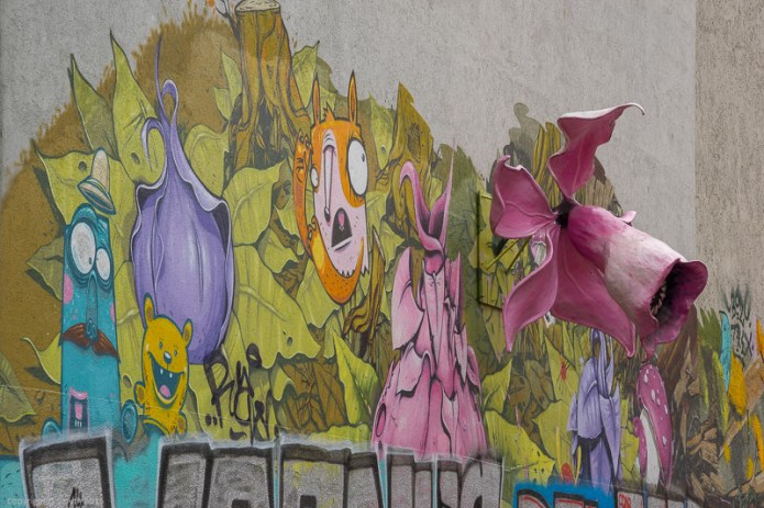 a1_20150531_20150531__DSC9876_6000 x 4000