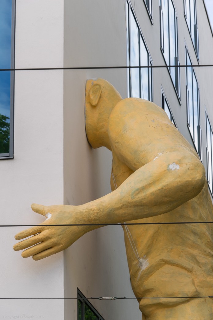 a1_20150602_20150602__DSC0114_4000 x 6000