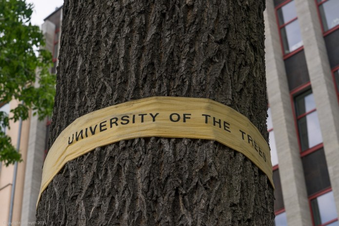 a1_20150603_20150603__DSC0164_6000 x 4000