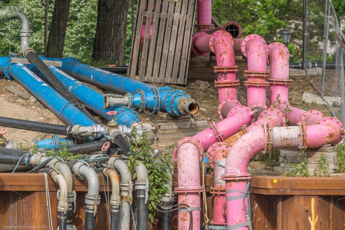 a1_20150603_20150603__DSC0386_6000 x 4000