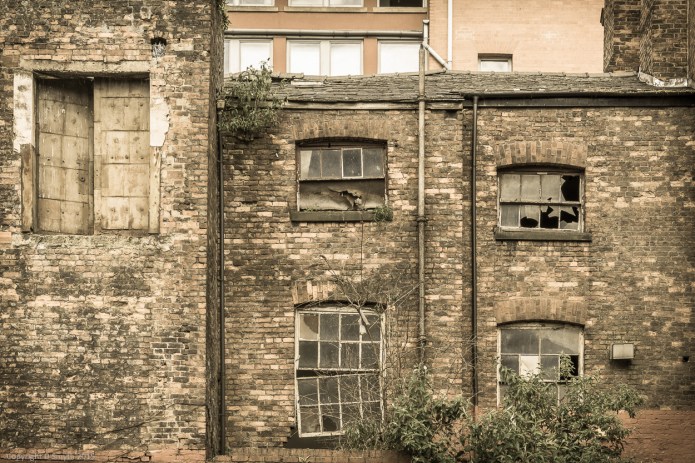 a1_20150612_20150612__DSC0412_6000 x 4000-2