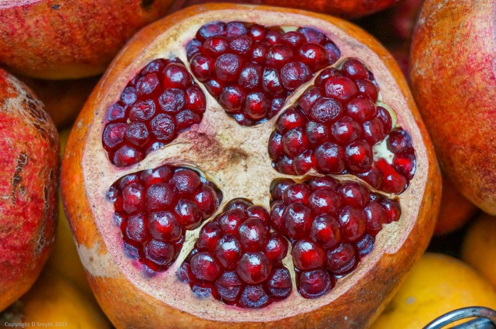 a1_20140226_DSC02859_4912 x 3264