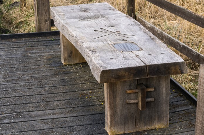 a1_20150314_20150314__DSC2160_3936 x 2624-2