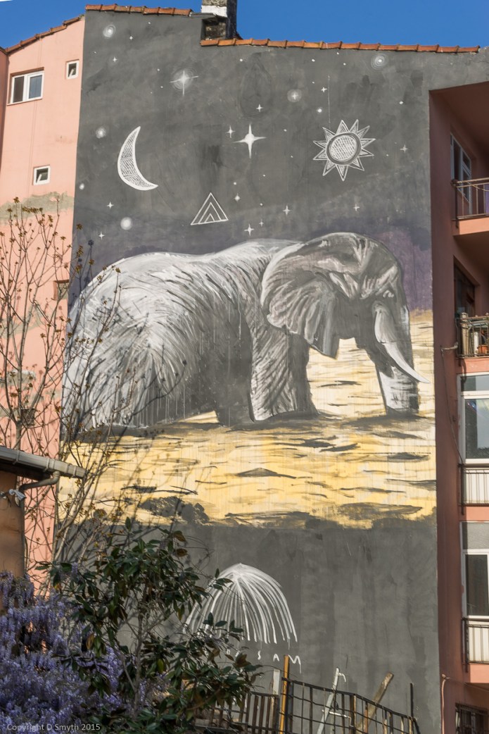 a1_20150424_20150424__DSC5966_4000 x 6000