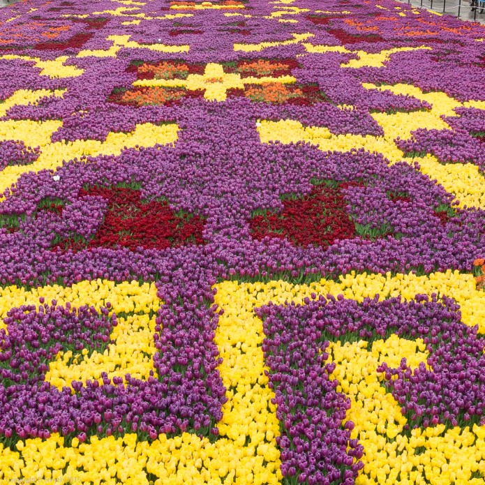 a1_20150429_20150429__DSC6519_2624 x 3936