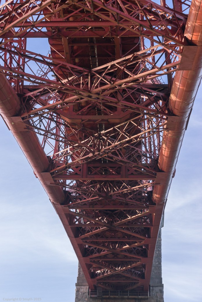 a1_20150501_20150501__DSC6570_4000 x 6000