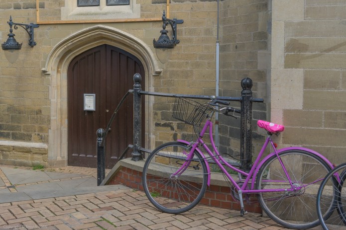 a1_20150621_20150621__DSC0491_6000 x 4000