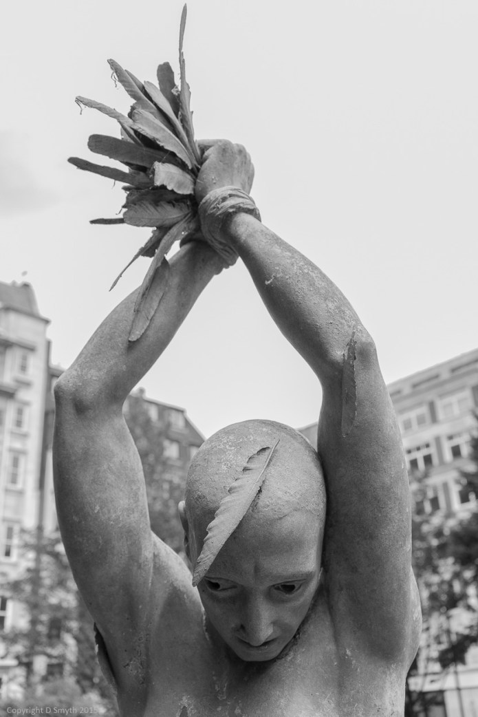 a1_20150625_20150625__DSC0521_4000 x 6000-2