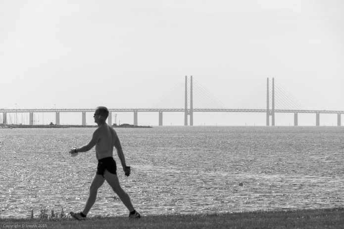 a1_20150707_20150707__DSC0851_6000 x 4000