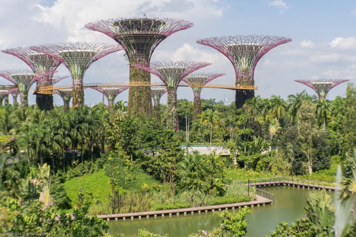 a1_20150722_20150722__DSC1548_6000 x 4000