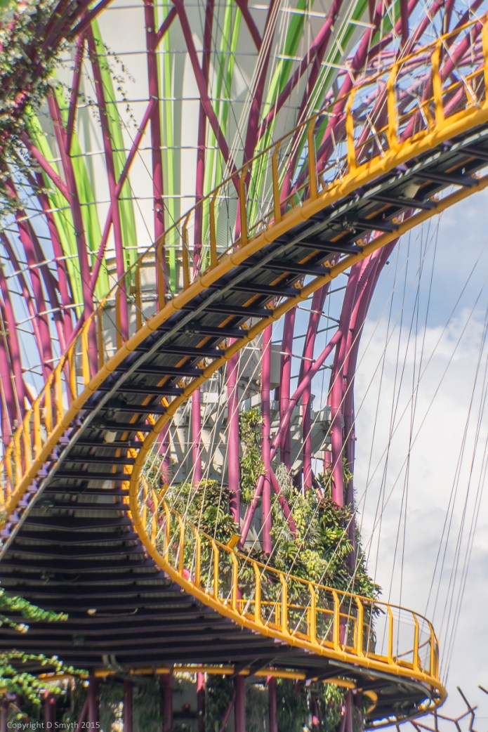 a1_20150722_20150722__DSC1559_6000 x 4000