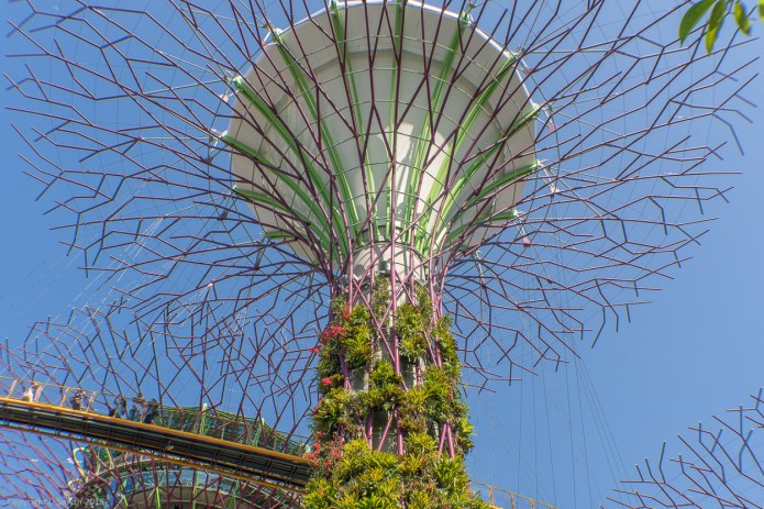 a1_20150722_20150722__DSC1561_6000 x 4000