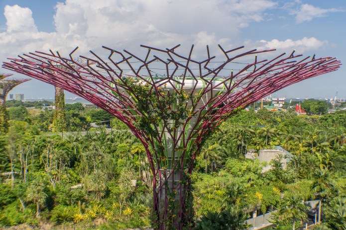 a1_20150722_20150722__DSC1565_6000 x 4000